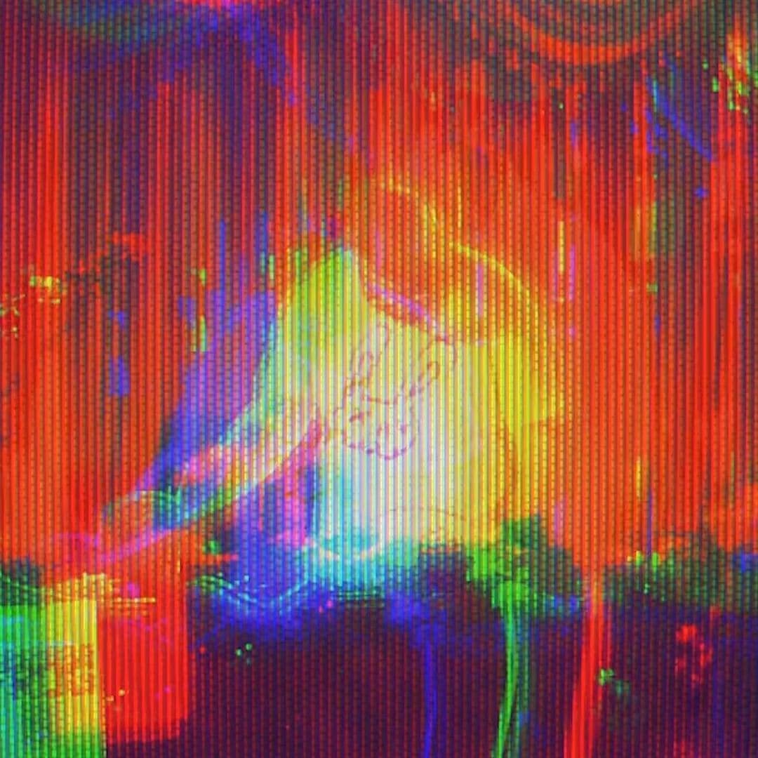Feature Photo
