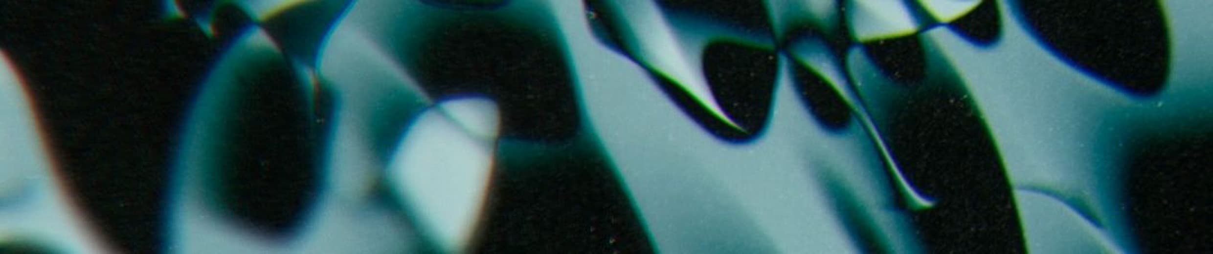Feature Photo