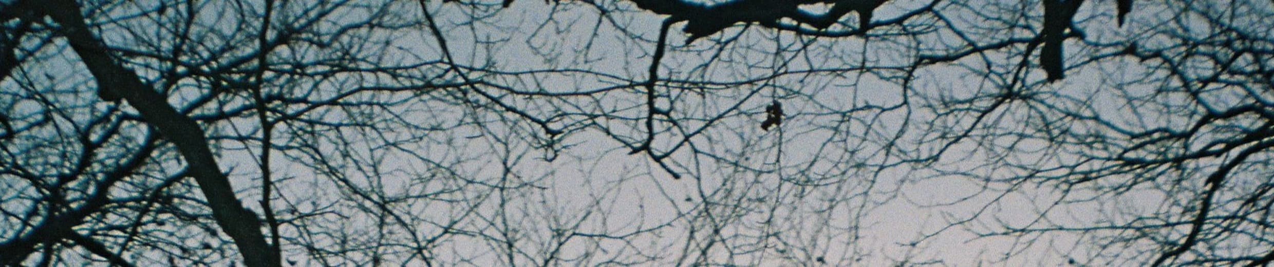 Feature Photo